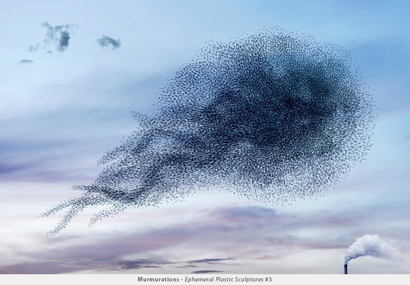 Illustration for article titled Photographer transforms plastic bags into beautiful bird flocks